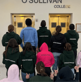 Coton ouaté item