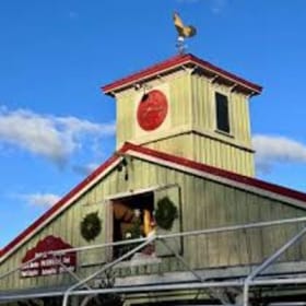 $50 Gift Card for Roosters Stanfordville item