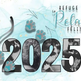 Calendrier par la poste item