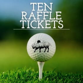 Ten Raffle Tickets item