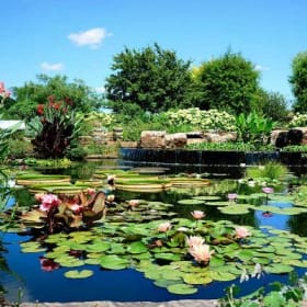 Powell Gardens Dogwood Membership item