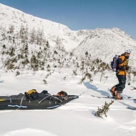 nanoTRAINO                               valeur : $395.00 item