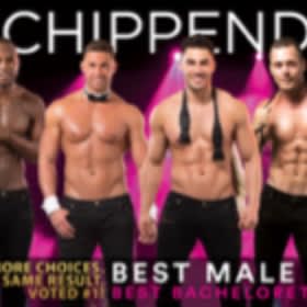 Item # 003: Night Out @ Chippendales item