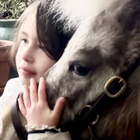 Red Horse Rescue / Windrock Equine Therapy item