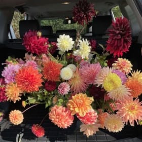 Bear Creek Fresh - Pick your Own Experience (value:$250) item