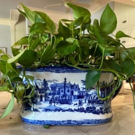 Blue & White Footbath item