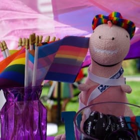 Peer Recovery Coach 40 hr training + Ethics Training item