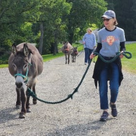 Animal Farm Foundation - Donkey Therapy Experience for 4 item