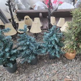 Lot de 5 petits sapins item