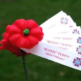Traditional Buddy Poppy (1000) item