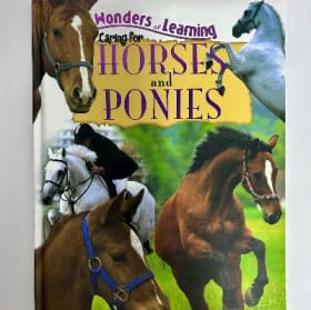 Horse Lover Basket item