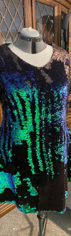 Sequin Dress item