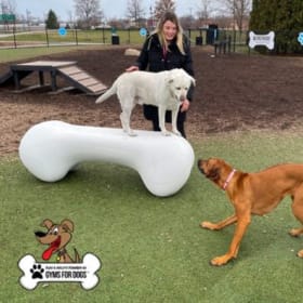 Agility Bone (L/XL) item