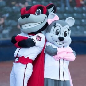 4 Field Tickets to Flying Squirrels 2025--$60 Value item