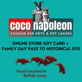 Coco Napoleon Online GC + Head Smashed In Buffalo Jump Pass item