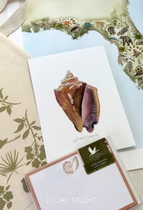 Litore Studio Bundle item