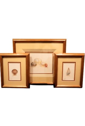 Shell Paintings (Set of 3) by Lee Caltagirone item