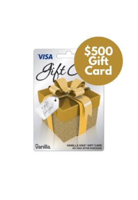 $500 Visa Gift Card item