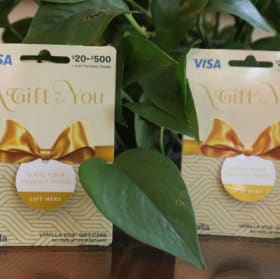 $300 Visa Gift Card item