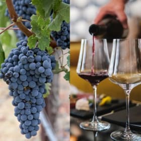 Sip & Savor in the Perfect Setting item