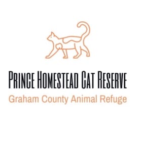 Cat Calendar 2025 item