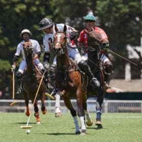 2-Player Polo Trip in Buenos Aires, Argentina item