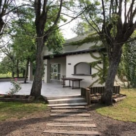 2-Player Polo Trip in Buenos Aires, Argentina item