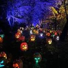 65. 2 Premiere Tickets for Harvest Nights at Newfield's #2 item