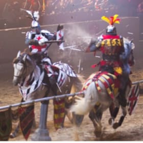 Medieval Times Dinner and Tournament for 2 item