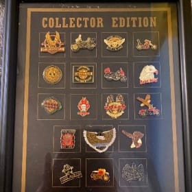 Pin Collection and Case item