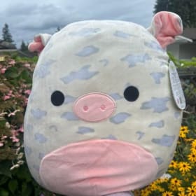 Random cute squishmallows item