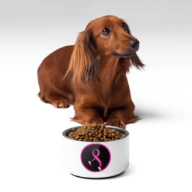 Walk by Faith Pet Bowl item