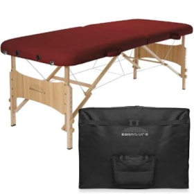 Portable Massage Table with Carrying Case item
