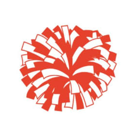 Design #2 Pom Temporary Tattoo item