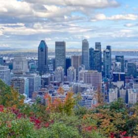 🎟️ Montreal Ticket item