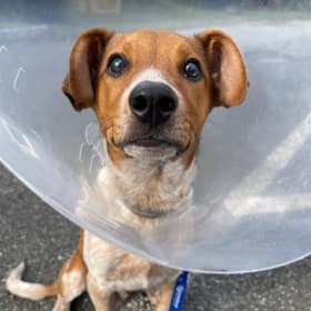 Healthy Holiday Bundle: Medical Care item