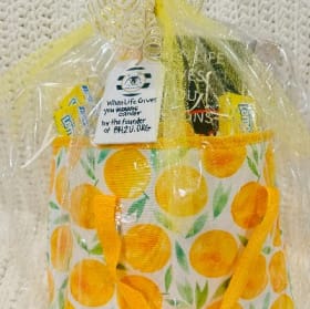 When Life Gives You Lemons Bundle item