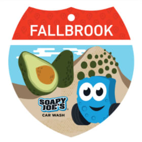 #101: Soapy Joe's Car Wash Annual Membership ($426 VALUE) item