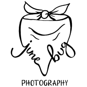 Junebug Photography Pet Portrait Session item