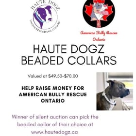 Haute Dogz Beaded Collar item