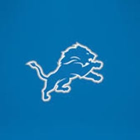 Detroit Lions Tickets item