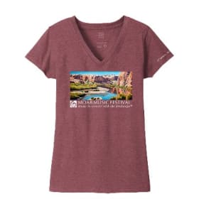 Photo of Large T-Shirt