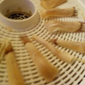 Soap Root Scales (Dehydrated)20 each item