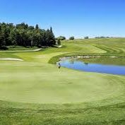 Four rounds of golf including cart and range item