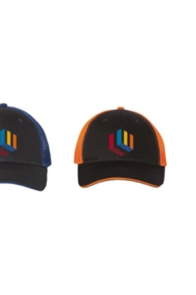 LWMB Trucker Cap with school color on back item