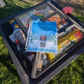 Backyard S'mores item