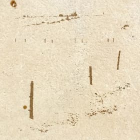 Enclosure. 2024 item