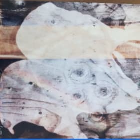 Lama Kukui-Light (Diptych) two item