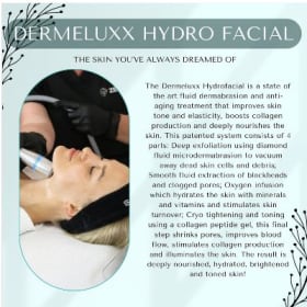 Dermeluxx Facial at Holtz Spa item
