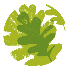 Oaktree Medical Acupuncture or Chiropractor Session item